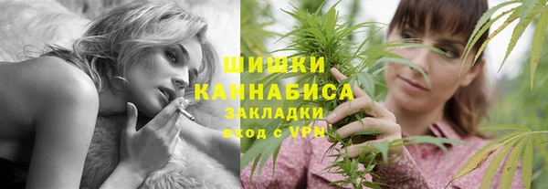 спиды Бердск