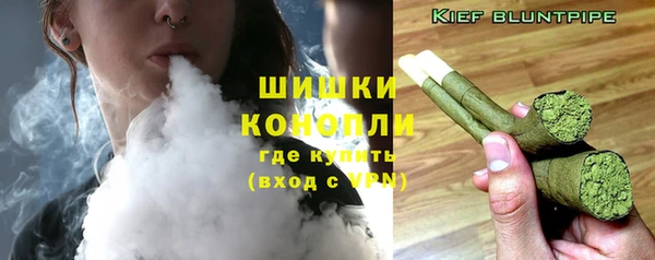 спиды Бердск