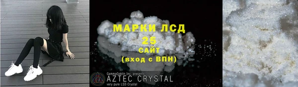 спиды Бердск