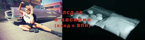 спиды Бердск