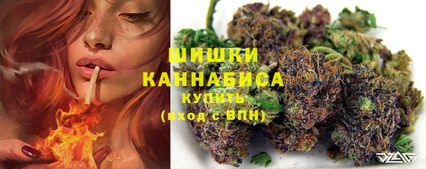спиды Бердск